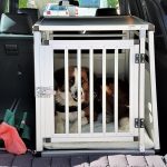 Hundebox Autobox AUSTIN - PET HOMES AG