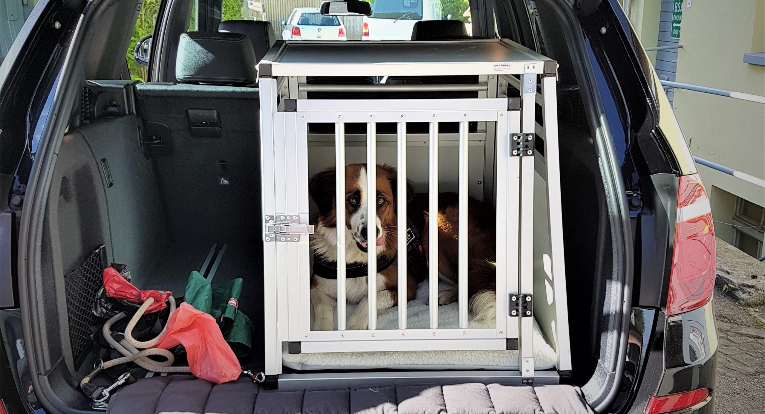 Hundebox Autobox AUSTIN - PET HOMES AG