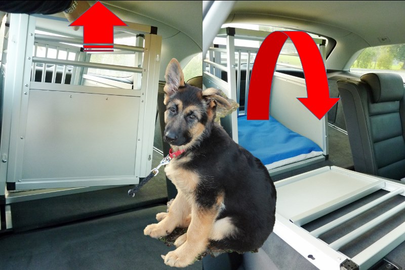 Hundebox Auto XL mit Trennwand